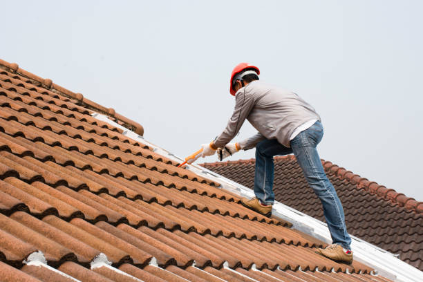 Best Roof Moss and Algae Removal  in Saylorville, IA