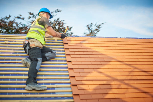 Best Asphalt Shingles Roofing  in Saylorville, IA